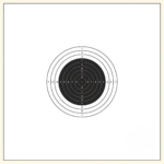 Rifle Target 10M